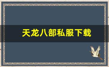 天龙官网首页：天龙八部私服下载(天龙手游私sf下载) (2)