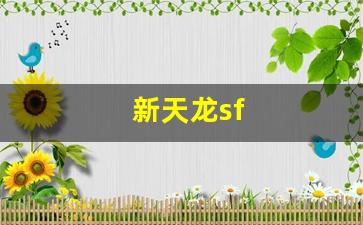 新天龙sf(新天龙sf发布网) (6)