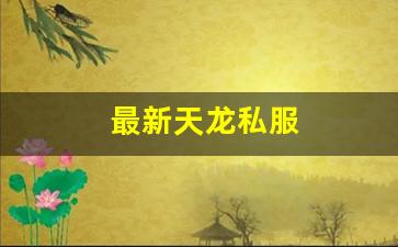 最新天龙私服 (14)