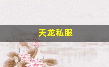 天龙私服(天龙手游私sf下载) (2)