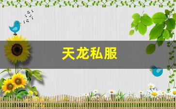 天龙 私服：天龙私服(天龙手游官网) (5)