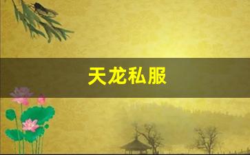 免费天龙八部信息网：天龙私服(天龙手游官网) (4)