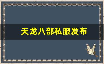 天龙八部私服发布(新天龙八部体验服官网) (2)