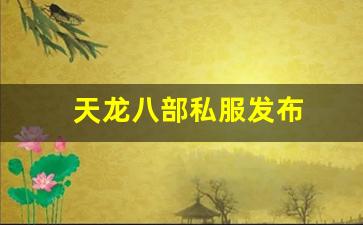 龙八部sf布网：天龙八部私服发布(天龙八部国际服下载) (3)