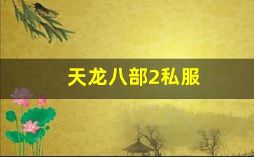 天龙八部长久服发布网:天龙八部2私服 (11)