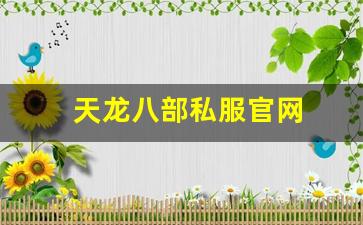 天龙八部私服官网 (10)